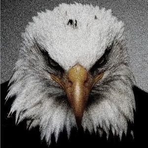 Meet your Posher, Cody